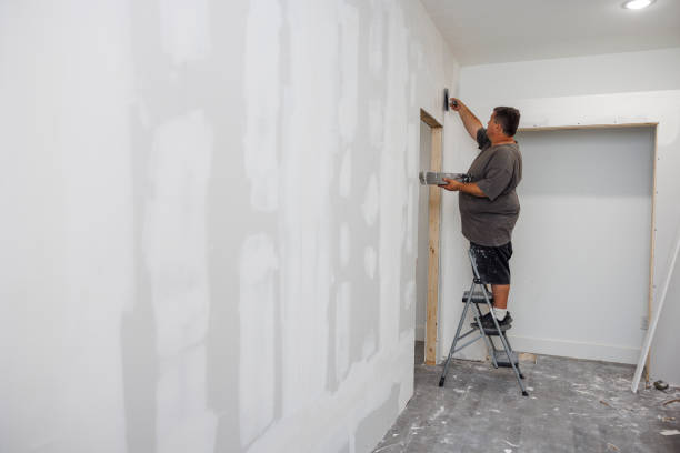 Best Asbestos and Lead Testing During Mold Inspection  in Stevens Point, WI